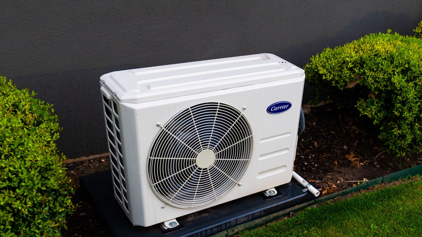 A white outdoor unit of a split air conditioning system with a round fan grille, standing on a pad between two shrubs.